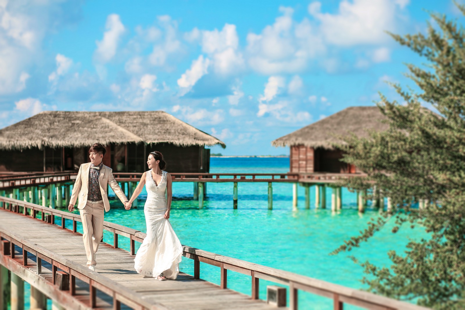  モルディブ Maldives  海外の 結婚式の前攝 